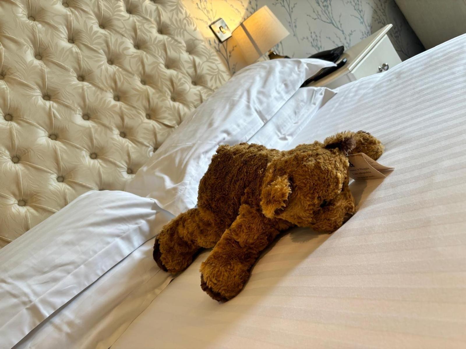 Blackaddie House Hotel Sanquhar Ngoại thất bức ảnh
